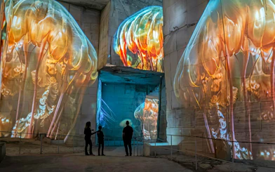 Jellyfish projections at Carrières des Lumières Ocean exhibit, immersive art experience.
