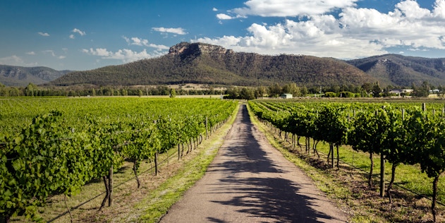 のベストを見つけよう Hunter Valley