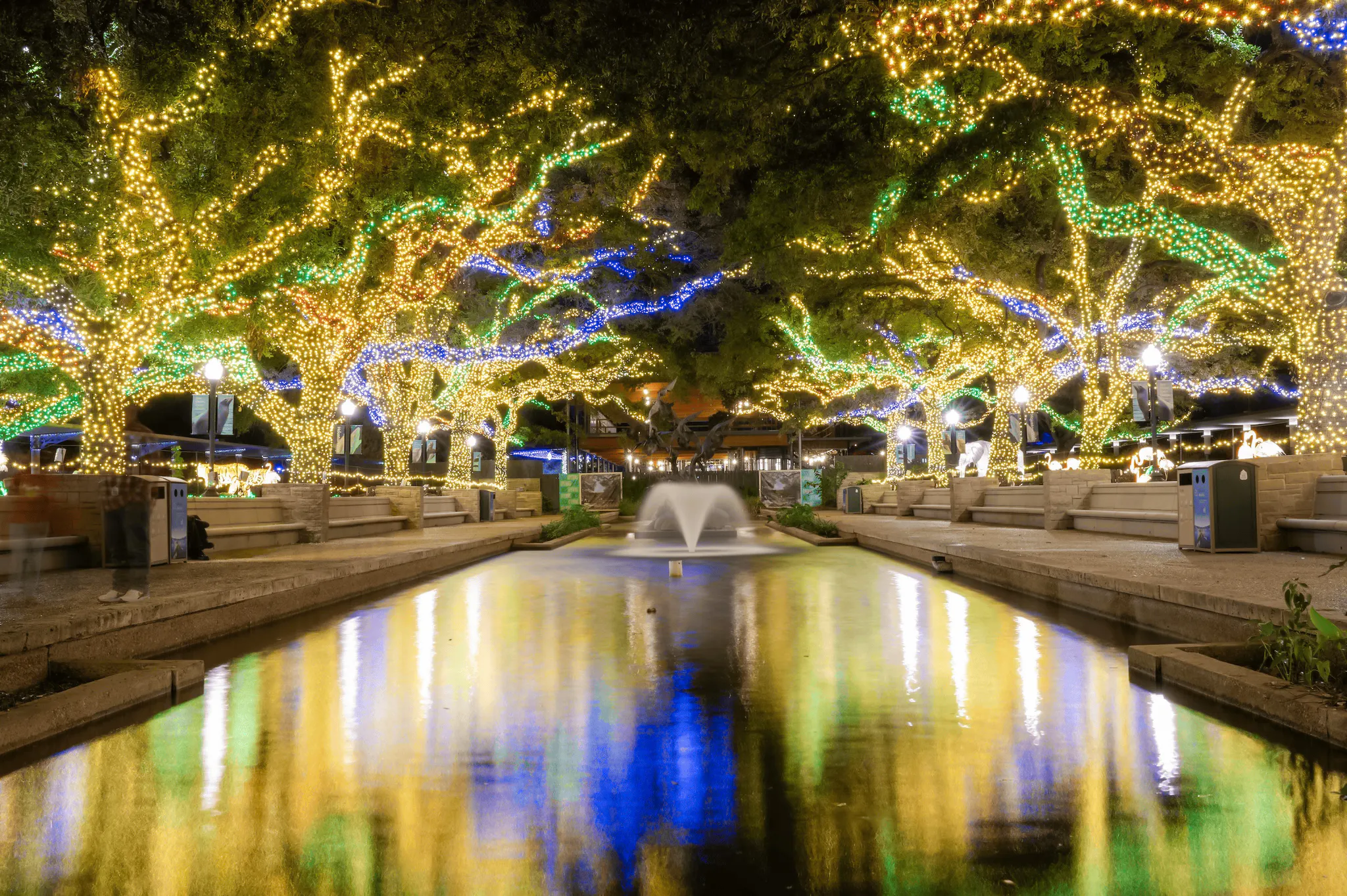 Houston Zoo entrance with trees adorned in colorful lights reflecting on a pond.