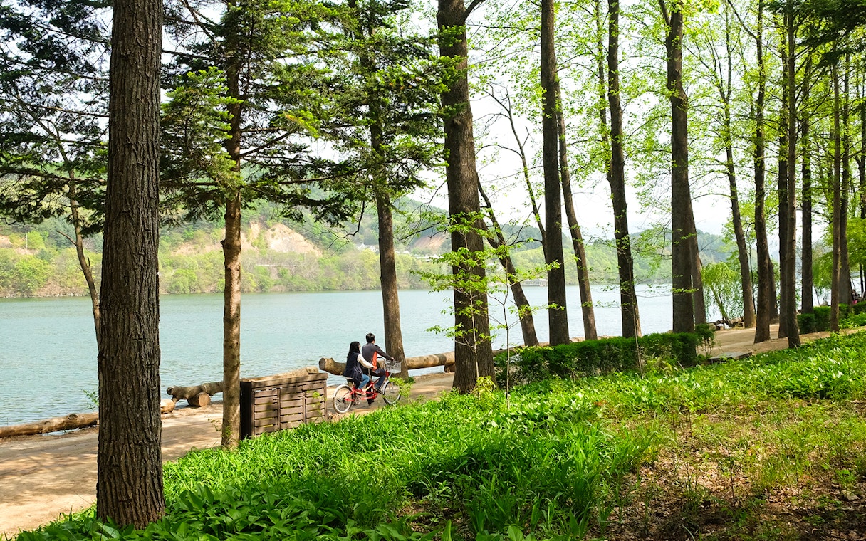 Couple cycling along a tree-lined path on Nami Island, South Korea.