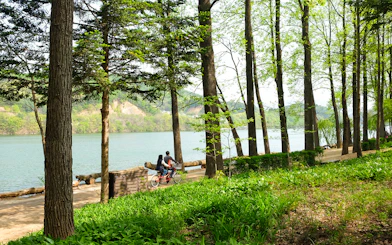 Couple cycling along a tree-lined path on Nami Island, South Korea.