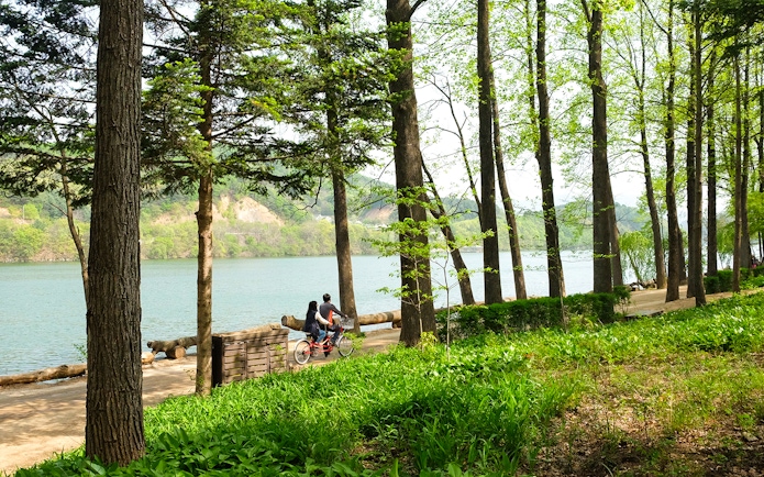 Couple cycling along a tree-lined path on Nami Island, South Korea.