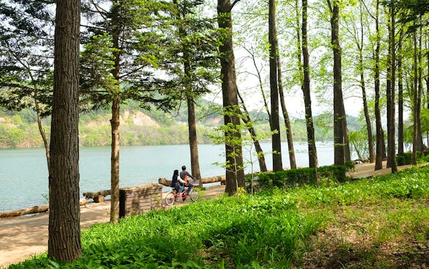 Couple cycling along a tree-lined path on Nami Island, South Korea.