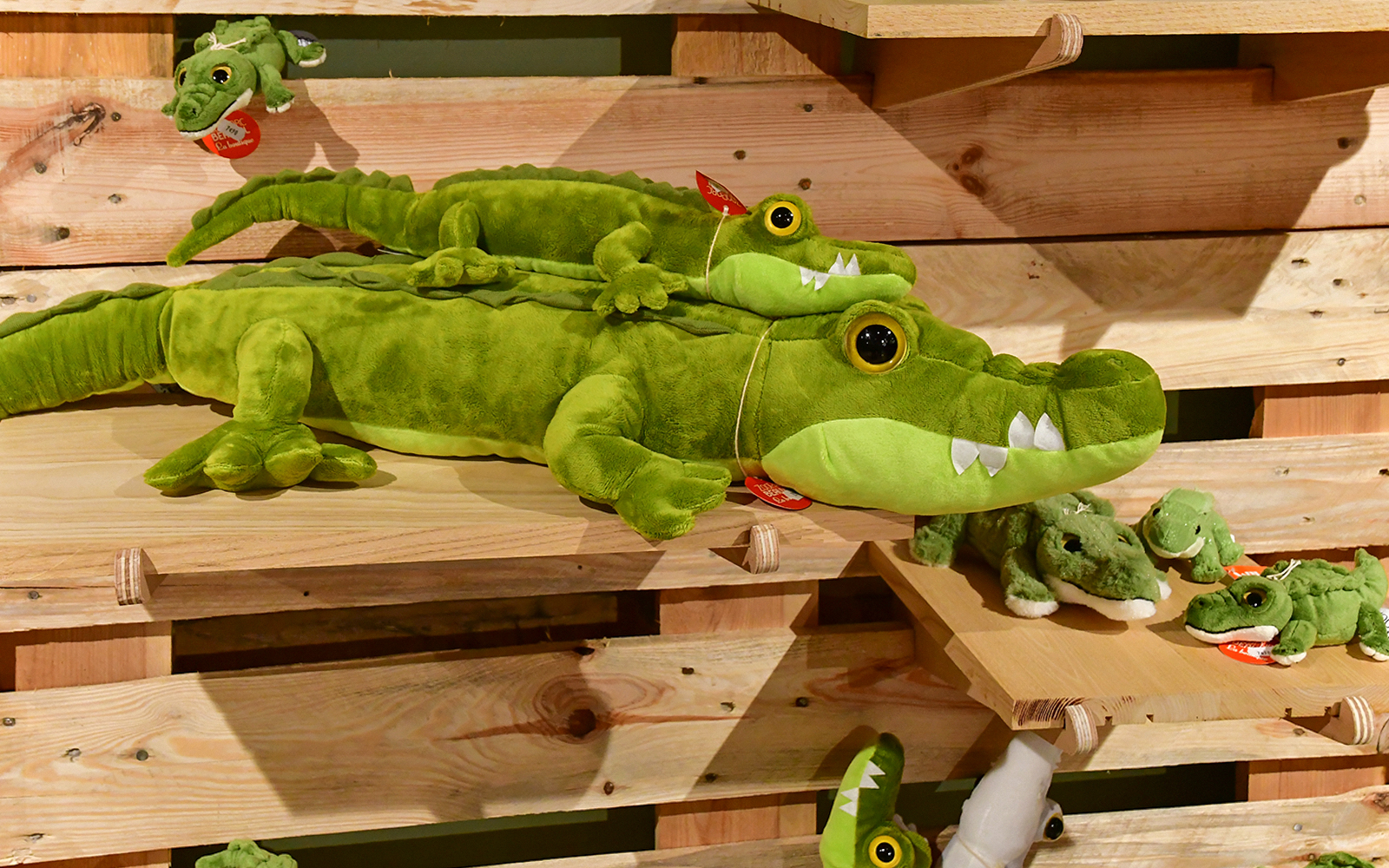  Tempo libero e ristoro