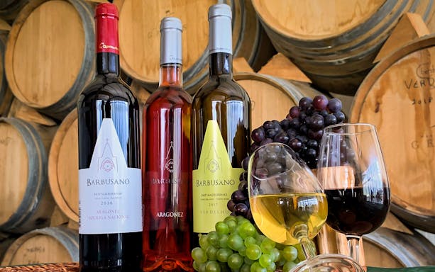 Madeira vineyard wine bottles and glasses with grapes, barrels in the background.