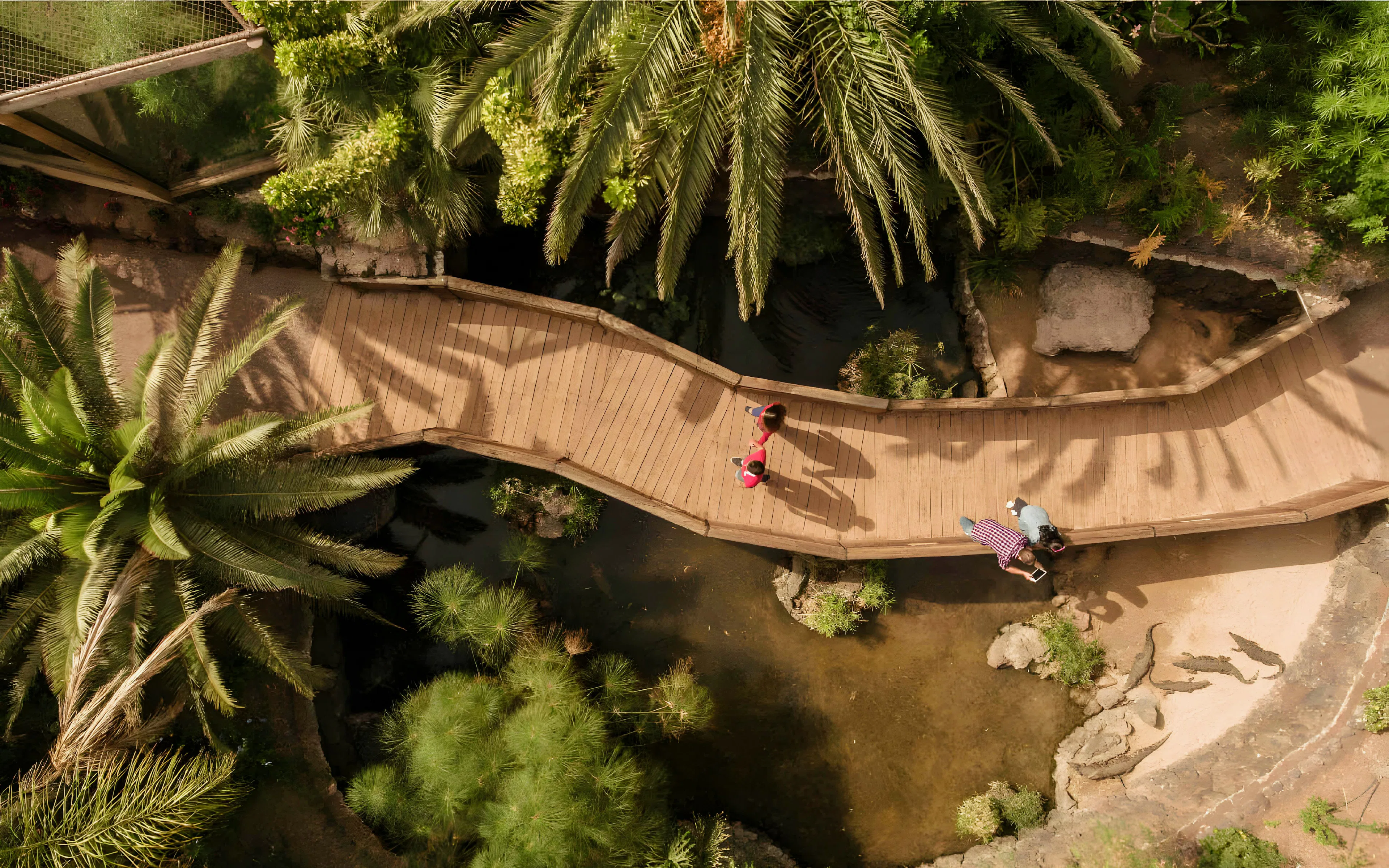 Wooden walkway over lush greenery and water at Oasis Wildlife.
