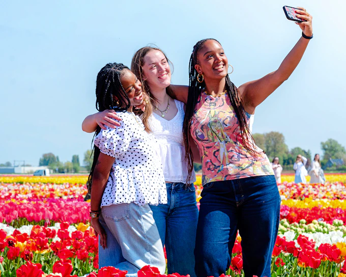 Tulip Experience Tickets with Tulip Fields Visit and Optional Transfers from Amsterdam