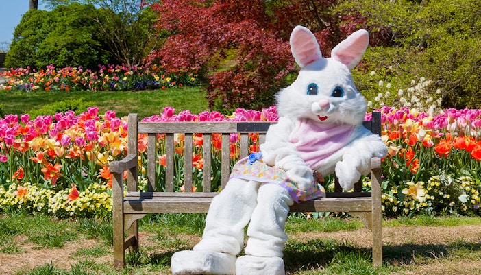 keukenhof events
