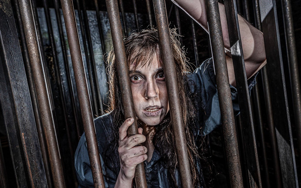 Witch character behind bars at York Dungeon's Curse of the Witch attraction.
