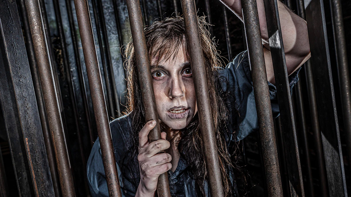 Witch character behind bars at York Dungeon's Curse of the Witch attraction.