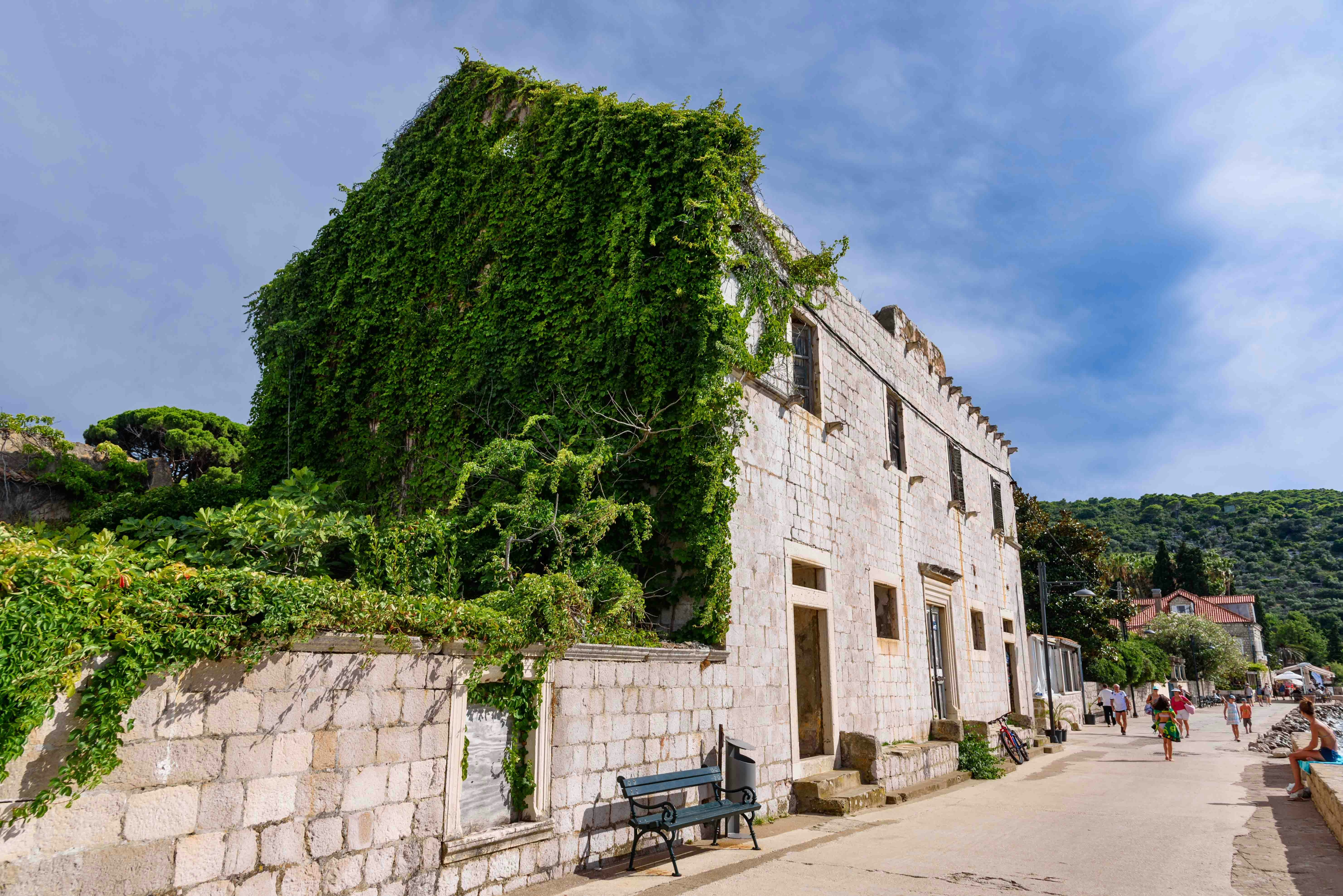 Explore historical landmarks and local culture