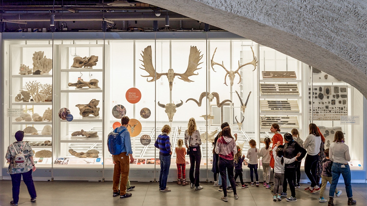 Tourists exploring inside American Museum of Natural History
