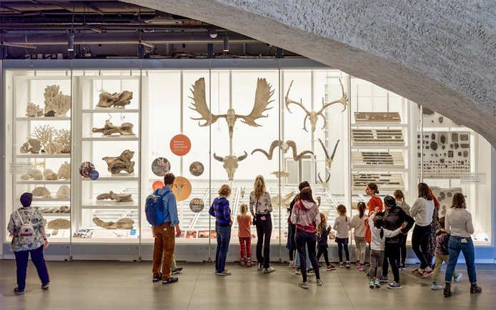 Visitors observing animal skeletons and fossils in a museum exhibit.