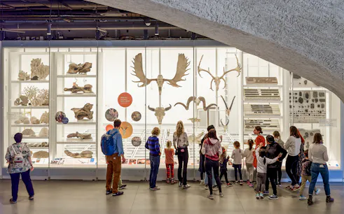 Visitors observing animal skeletons and fossils in a museum exhibit.