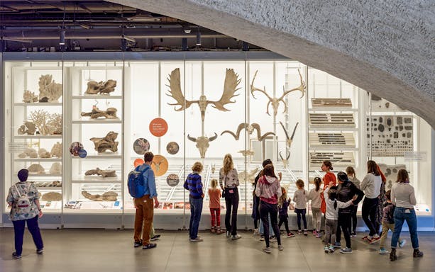 Visitors observing animal skeletons and fossils in a museum exhibit.