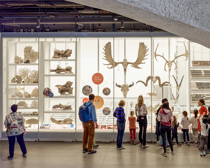 American Museum of Natural History plus 1-3 Top NYC Attraction Tickets