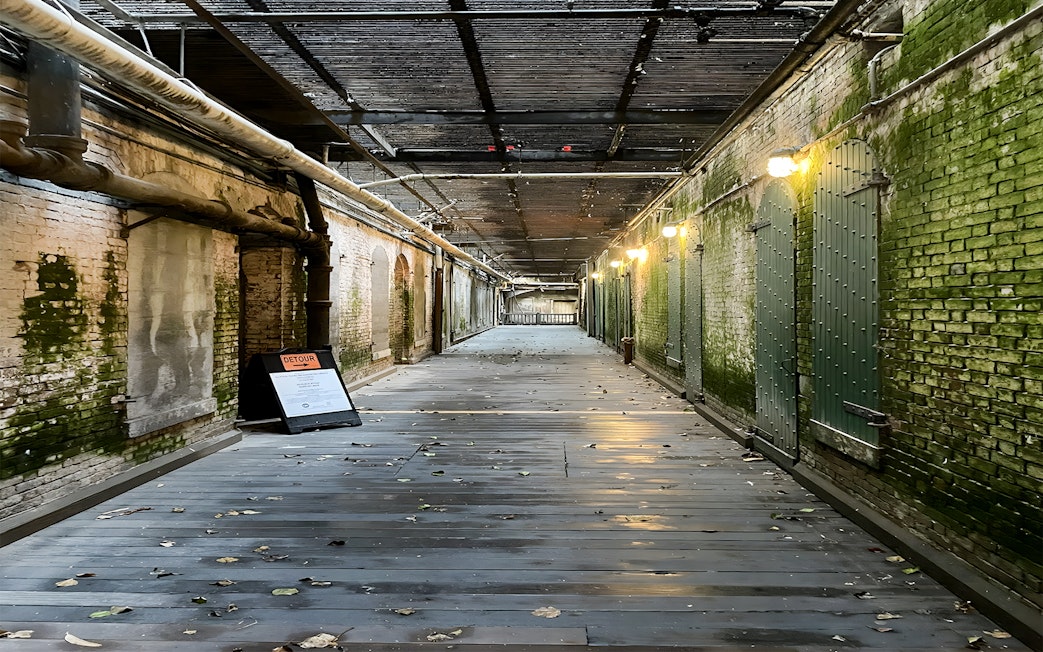 Walkway to prison cells with mossy walls on Alcatraz Island, San Francisco.
