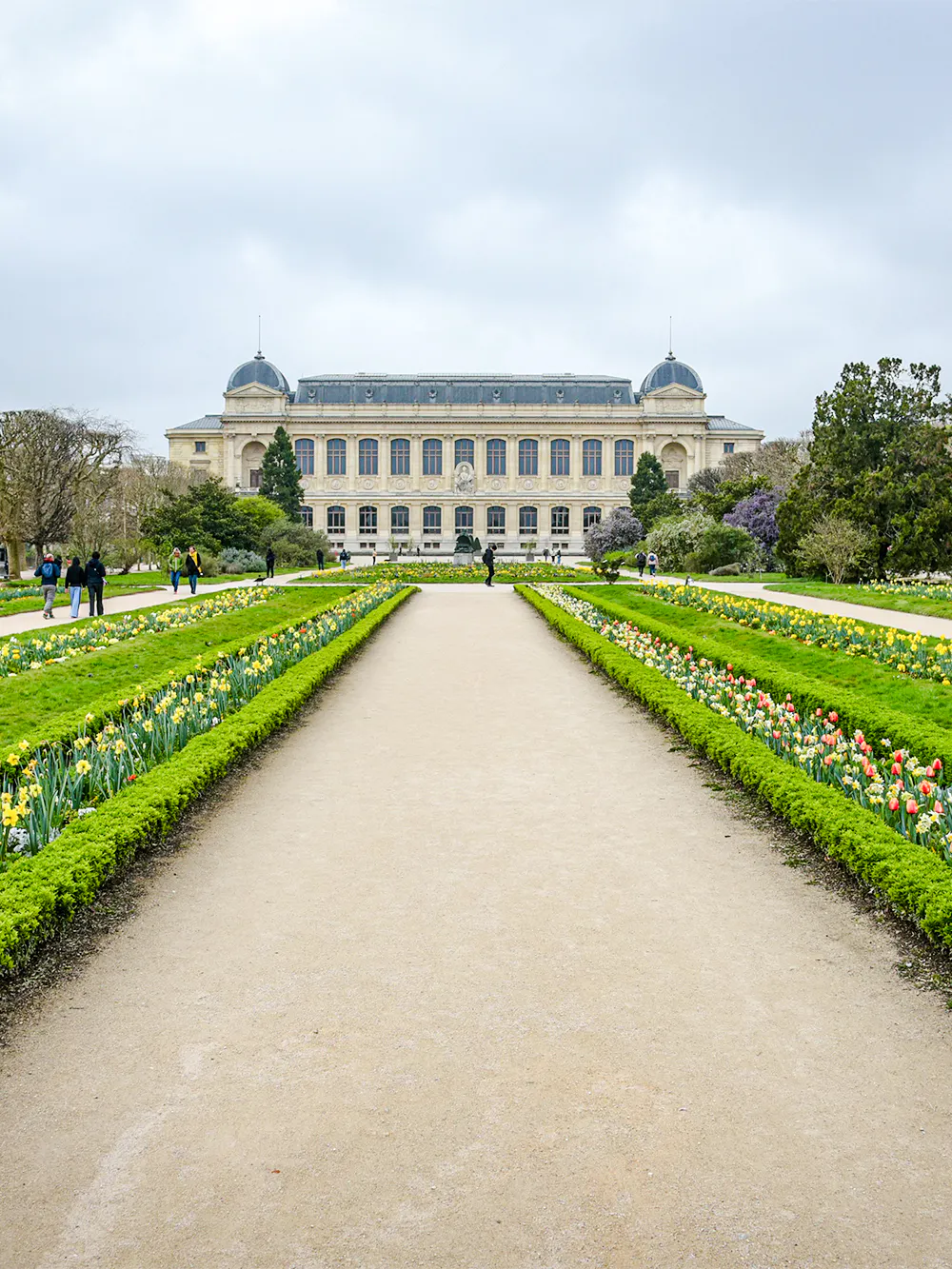 Jardin des Plantes pathway with spring flowers and museum building in Paris.