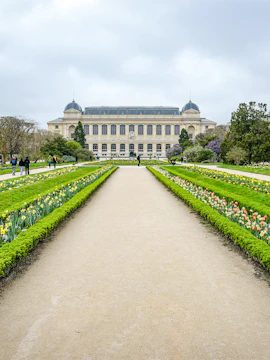 Jardin des Plantes pathway with spring flowers and museum building in Paris.