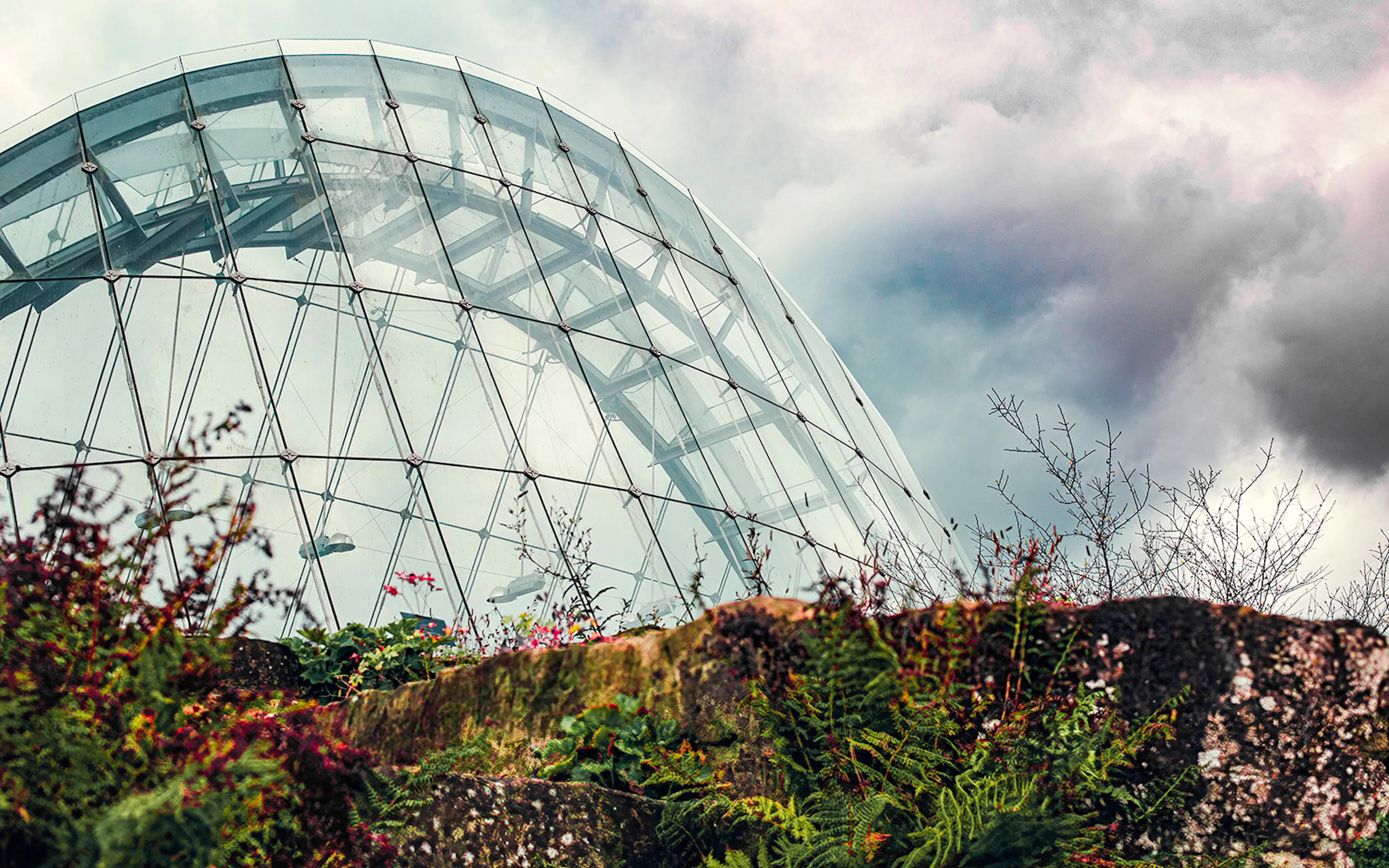 Davies Alpine House