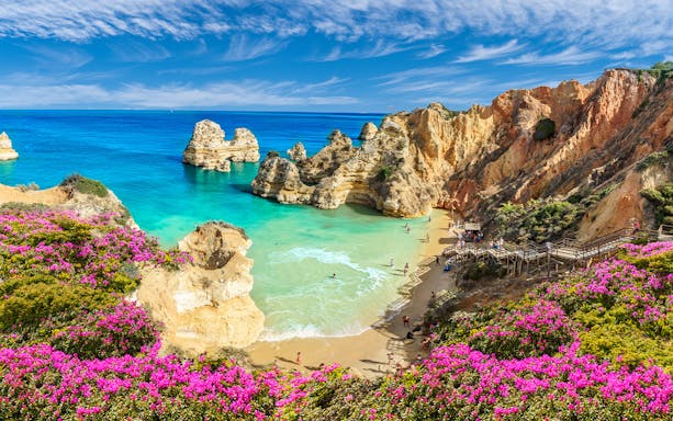 Algarve Beach with cliffs, turquoise water, and pink flowers.