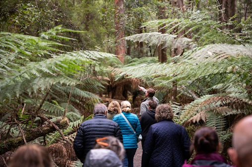 Hastings Caves, Tahune Airwalk and the Huon tasting trail