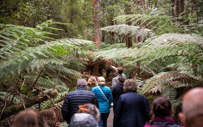Hastings Caves, Tahune Airwalk and the Huon tasting trail