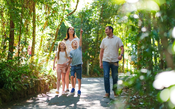 Family walking through lush forest on Natural Bridge & Springbrook Waterfalls Tour.