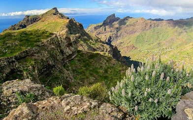 Masca Village landscape with mountains and greenery, Tenerife, part of Teide National Park tour.