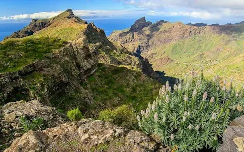 Masca Village landscape with mountains and greenery, Tenerife, part of Teide National Park tour.