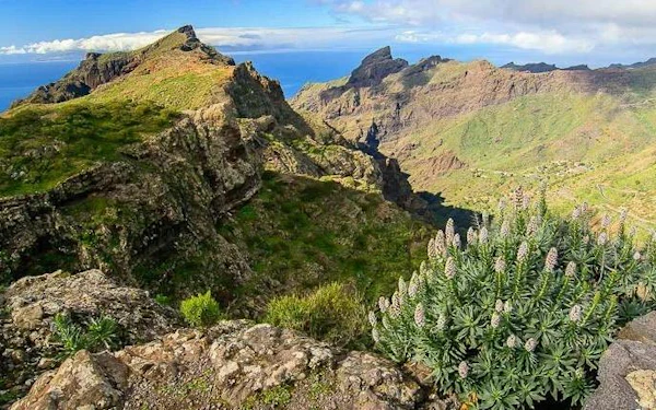 Tenerife Small-Group Masca Village & Teide National Park Tour with Wine Tasting and Canarian Tapas