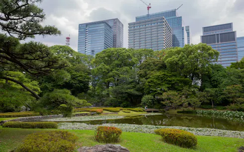 Shinjuku Gyoen Garden pond with city skyscrapers in the background, Tokyo.