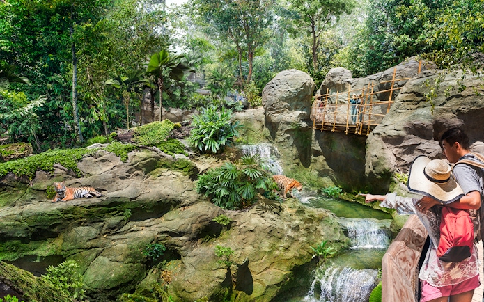Couple pointing at tigers in a lush rainforest setting in Wild Asia.