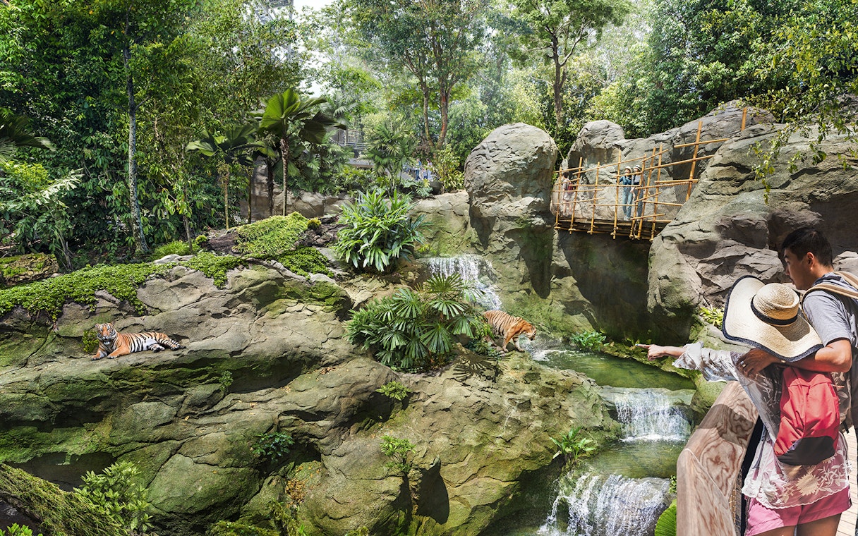 Couple pointing at tigers in a lush rainforest setting in Wild Asia.