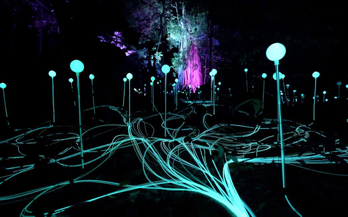 Dream Forest Langkawi Tickets