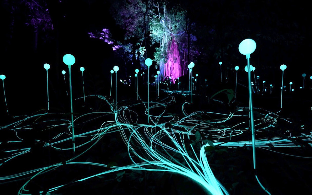 Glowing orbs and light trails in Dream Forest at night.