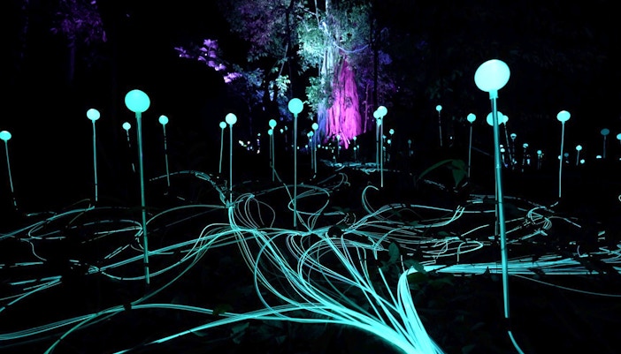 Dream Forest Langkawi Tickets