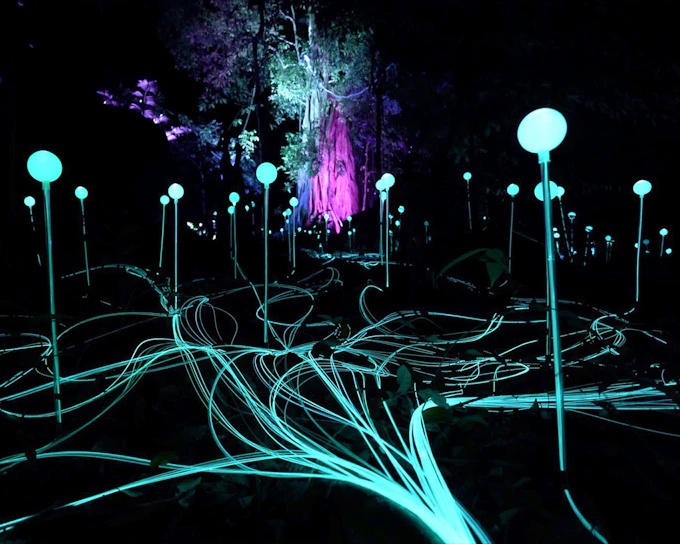 Dream Forest Langkawi Tickets