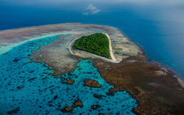 Aerial view of Lady Musgrave Island surrounded by coral reef in the Great Barrier Reef.