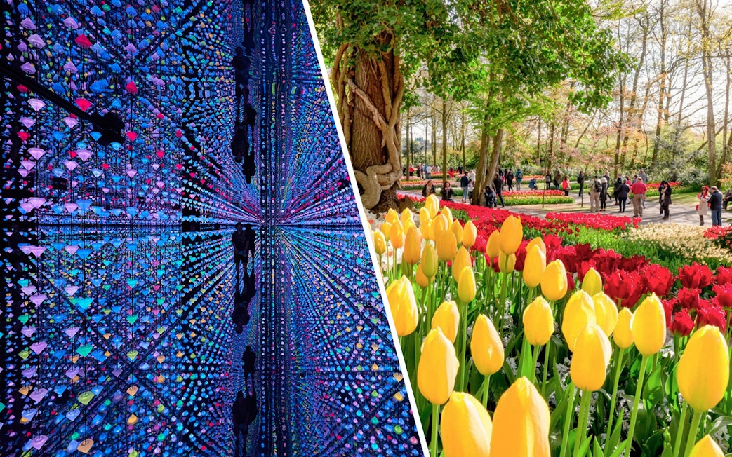 Colorful light installation reflections at Moco Amsterdam and tulip gardens at Keukenhof.