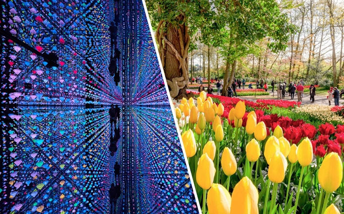 Colorful light installation reflections at Moco Amsterdam and tulip gardens at Keukenhof.