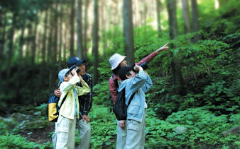 Group exploring forest near Fugaku Wind Cave, Japan, with binoculars and guide pointing.