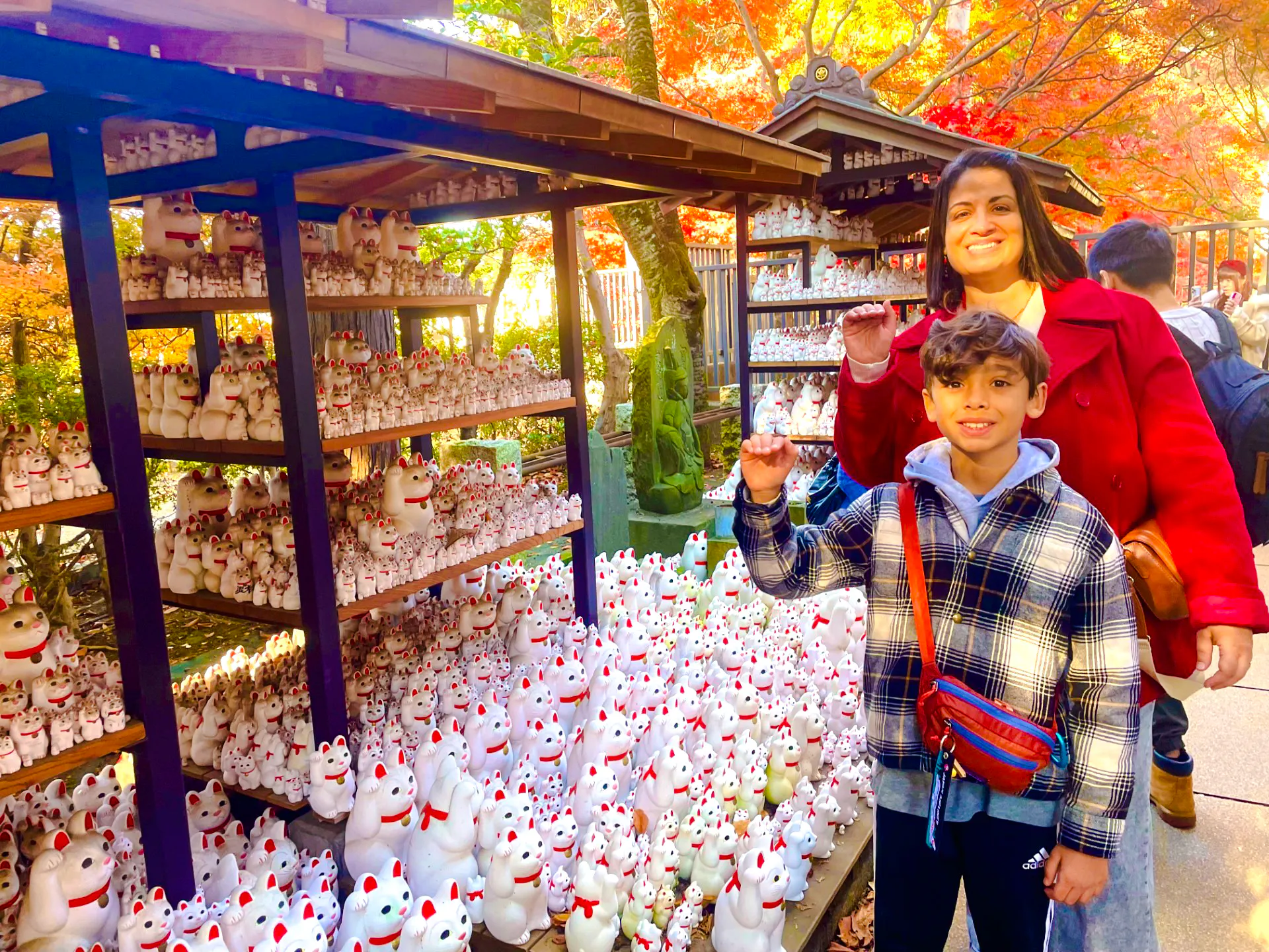 Tokyo Cat-Themed Walking Tour: Gotokuji Lucky Cat Temple, Shinjuku Cat Cafe & 3D Cat