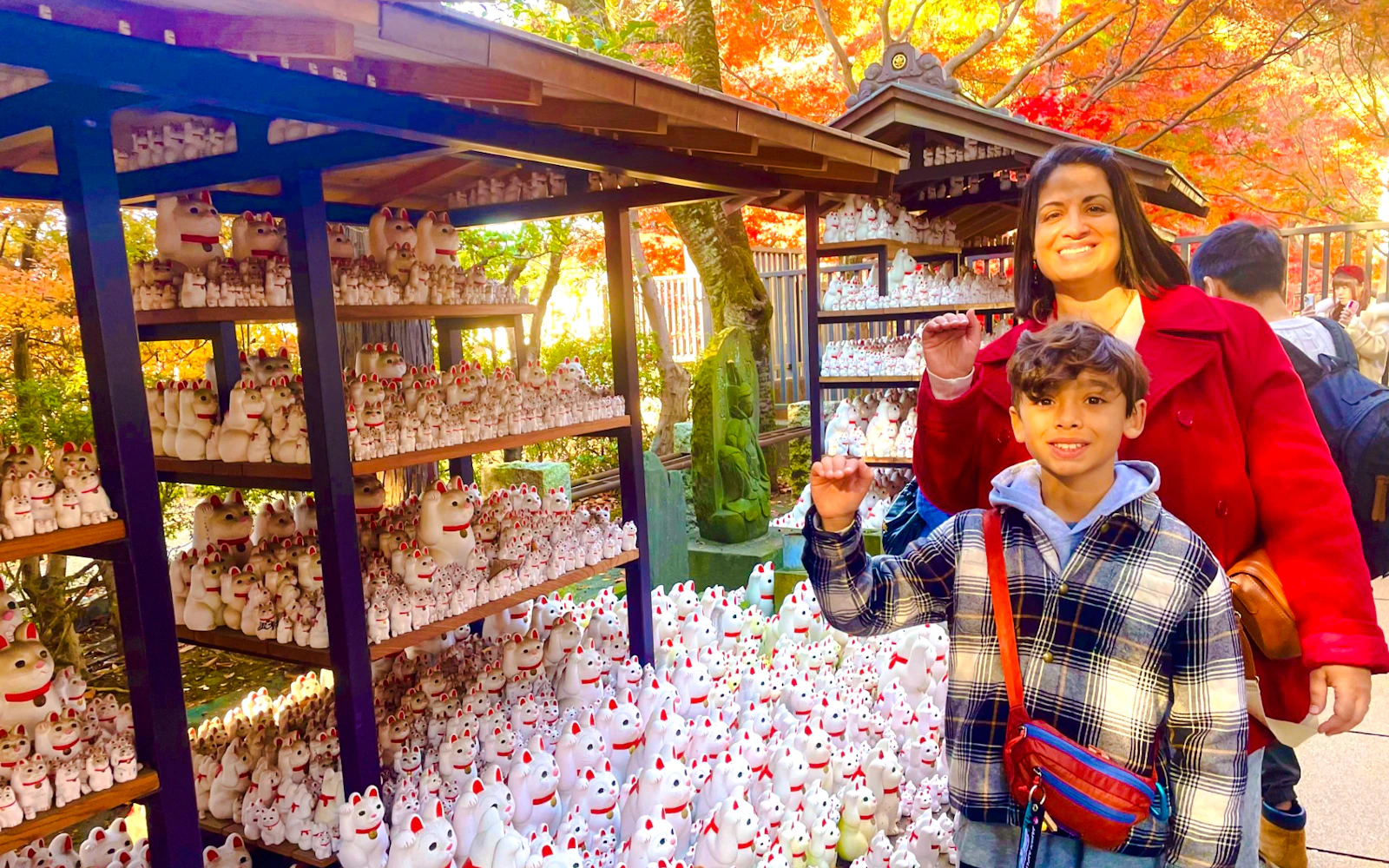 Tokyo Cat-Themed Walking Tour: Gotokuji Lucky Cat Temple, Shinjuku Cat Cafe & 3D Cat