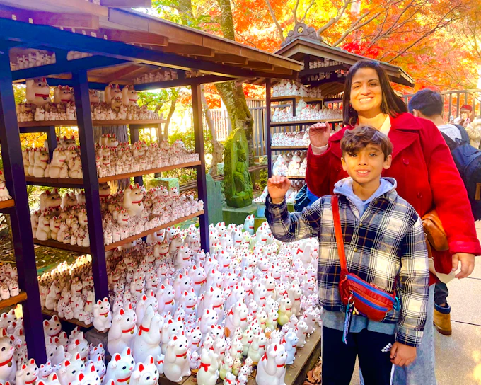Tokyo: Gotokuji Lucky Cat Temple & Shinjuku Cat Cafe & 3D Giant Cat Tour (Product 52300)