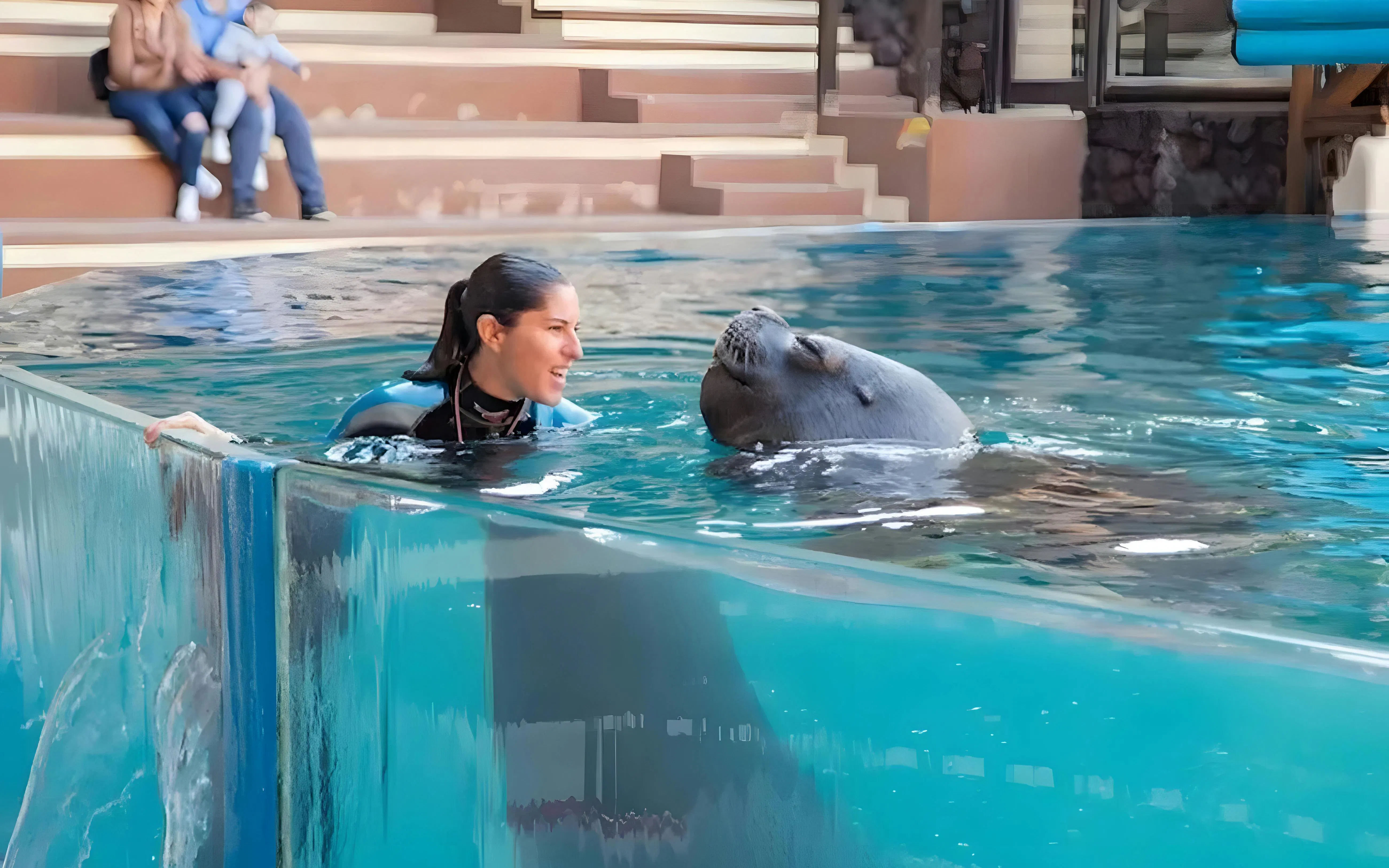 Trainer interacting with sea lion at Oasis Wildlife show.