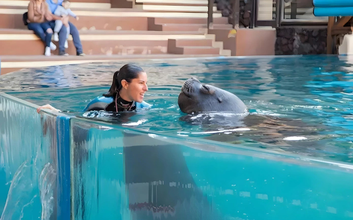 Trainer interacting with sea lion at Oasis Wildlife show.