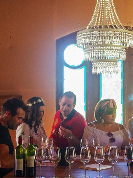 Wine tasting session in Saint-Emilion with a group of people under a chandelier.