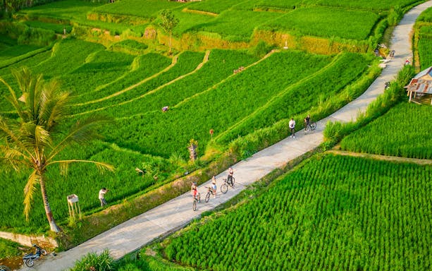 ATV riders on a path through Tegalalang Rice Terrace, Ubud.