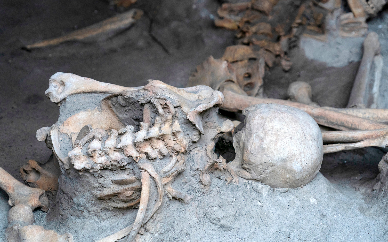 Herculaneum bodies